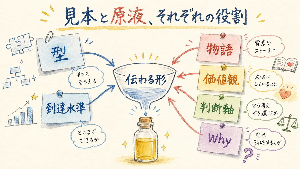 見本とカルピス原液がそれぞれ運ぶもの