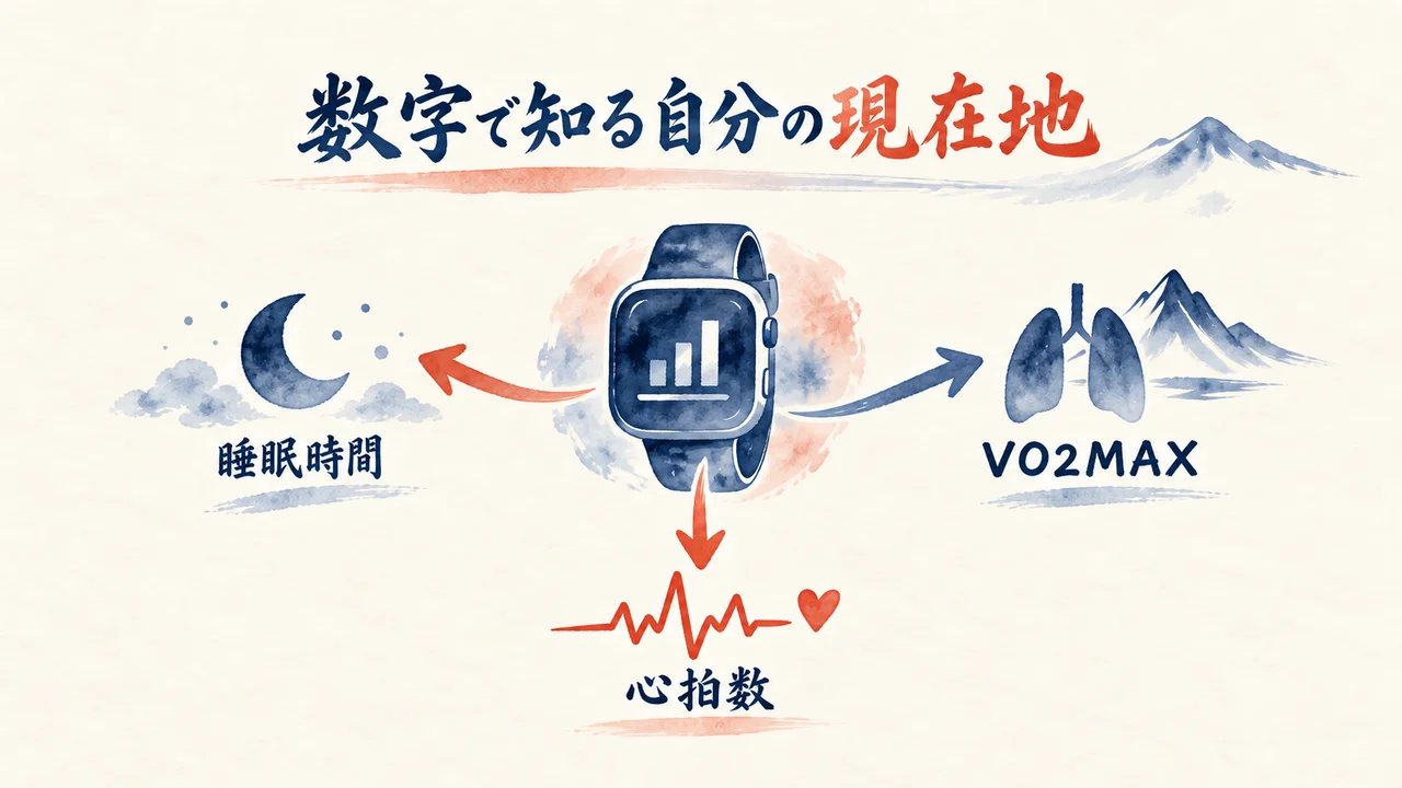 腕時計型端末が教えてくれる睡眠時間・VO2MAX・心拍数の図解