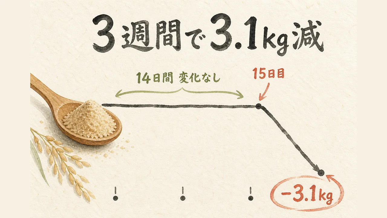 3週間で3.1kg減という番組検証の推移