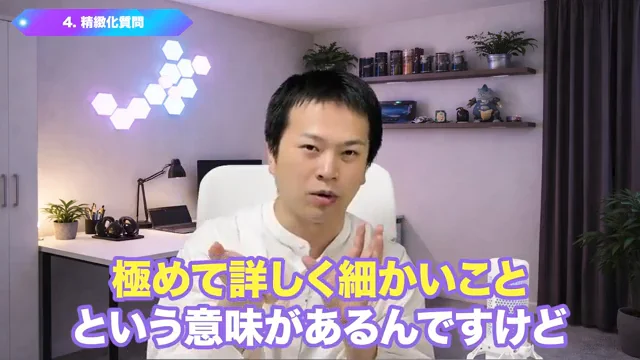 動画キャプチャ: 精緻化質問を説明する場面（8:41頃）