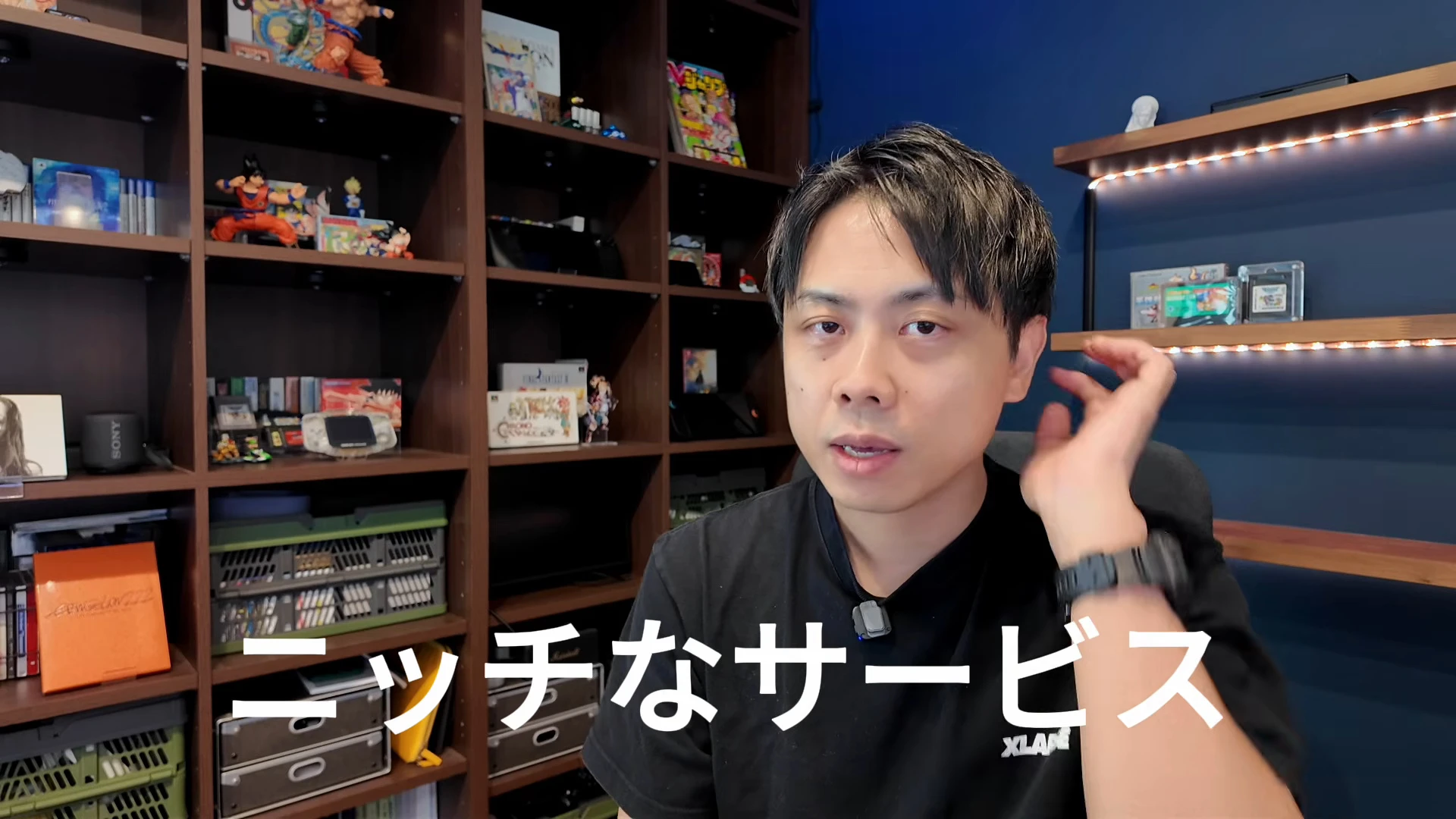 動画の画面全体。入江さんが話していて、画面の下に白い大きな字幕「ニッチなサービス」