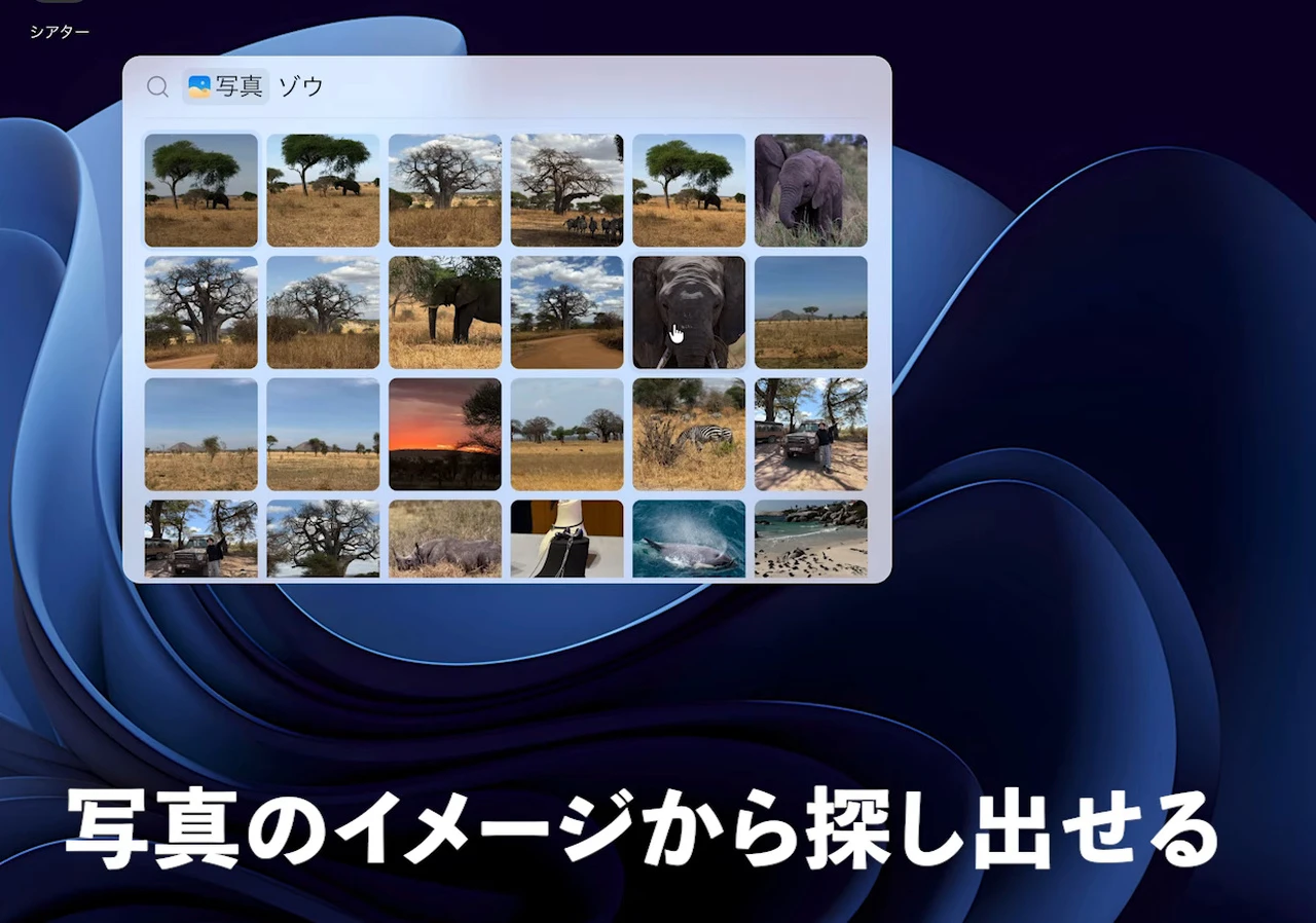 動画の画面。AI NASの検索欄にゾウと入れると、ゾウやバオバブの木、サバンナの写真が一覧で出ている。画面下に、写真のイメージから探し出せる、と字幕が出ている。