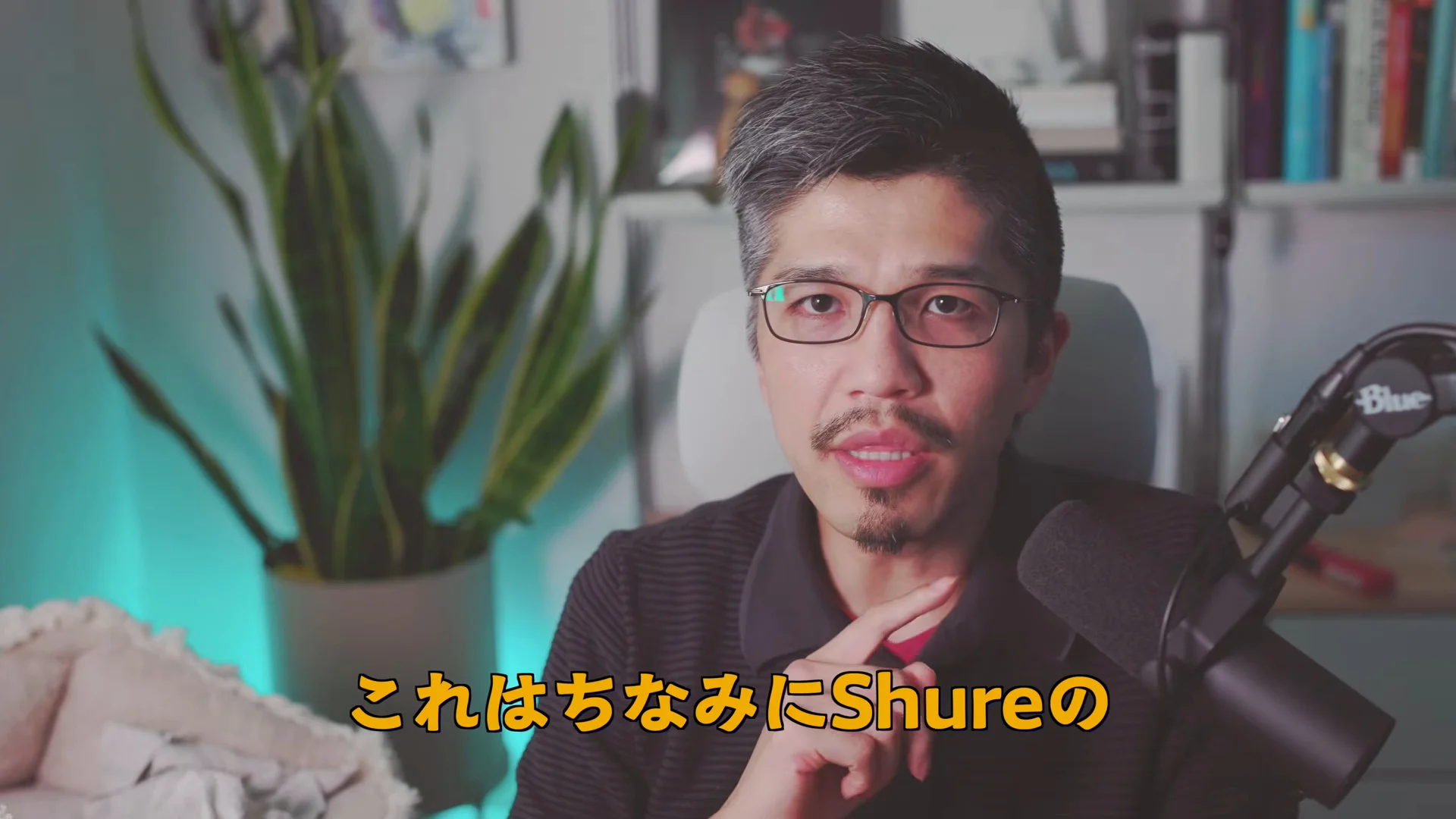 Rioさんが語る場面。字幕は、これはちなみにShureの。右にマイクが写る
