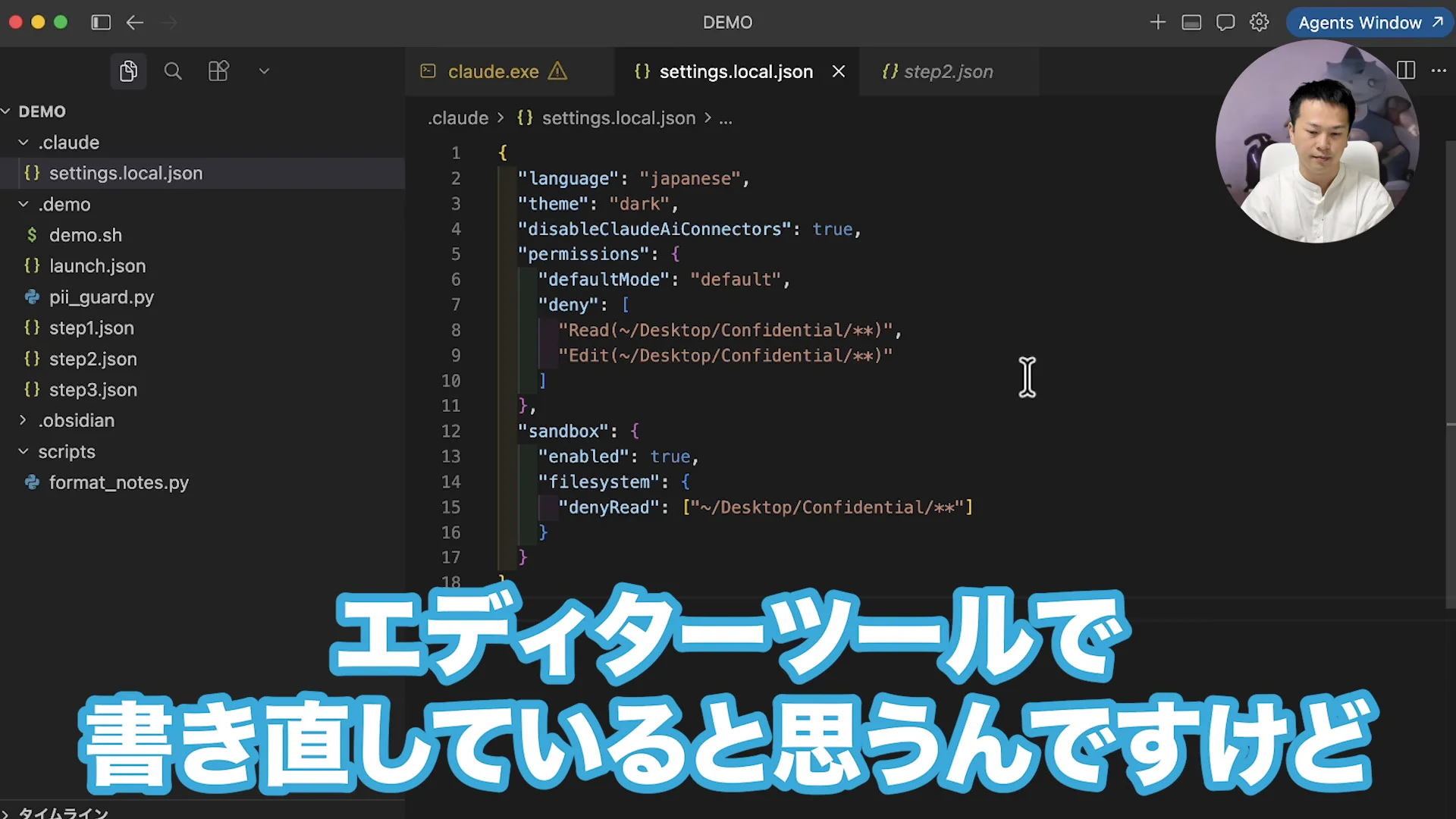 動画の画面。設定ファイルに、読む・編集するを禁止する記述と、サンドボックスの設定が並んでいる