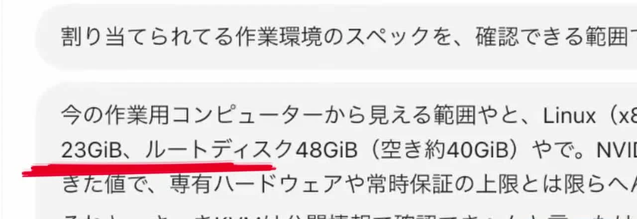 動画キャプチャ: Cueに作業環境のスペックを聞いた返事。23GiBとルートディスク48GiBの行に赤線が引かれている（2:15頃）