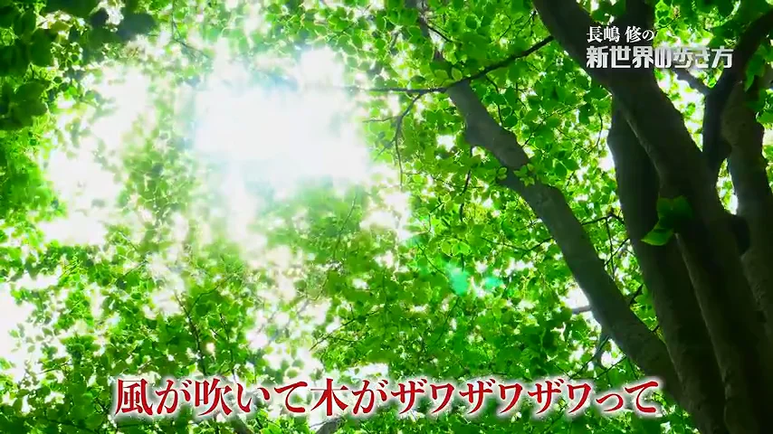 動画キャプチャ: 34:56 〜 木の葉の挿入画像に、風が吹いて木がザワザワザワワって、の字幕